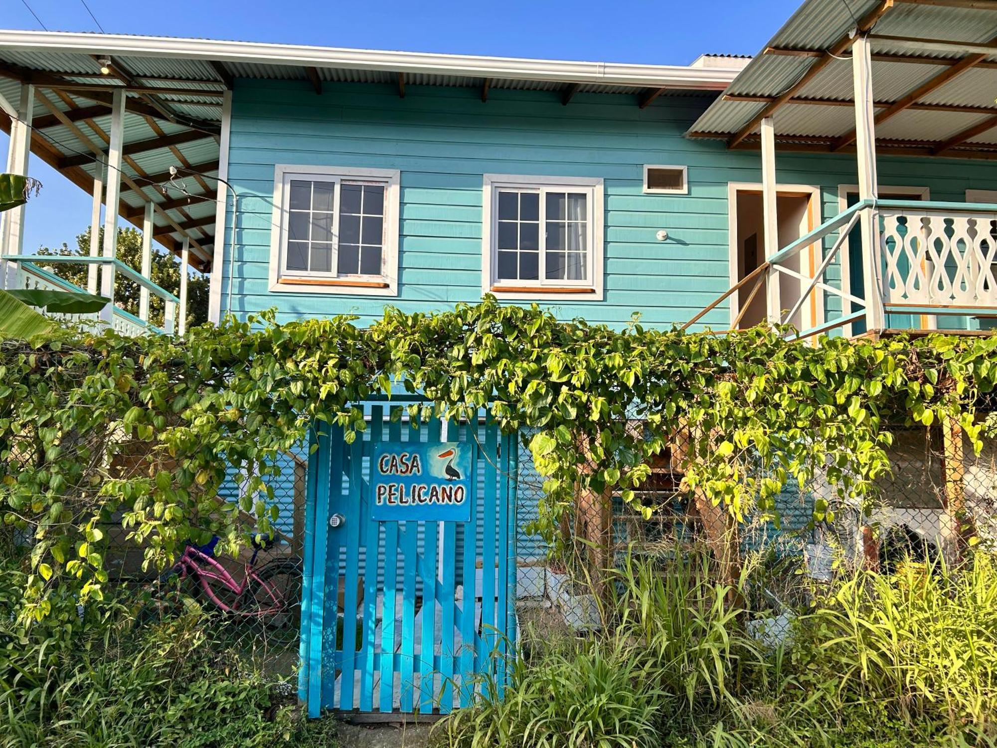 Casa Pelicano 博卡斯德尔托罗 外观 照片